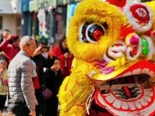 迎新春，2025年广州从化百狮大巡游来了！
