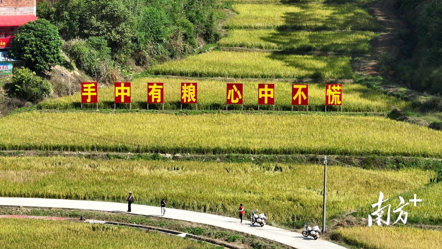 巧施“腾挪术”,五华安流镇全力推进省级全域土地综合整治试点工作_南方+_南方plus
