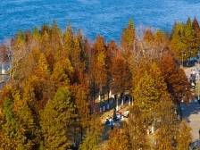 北江边悄悄红了，清远这个地方藏不住了｜越睇粤靓