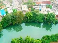 95.8%！广东空气质量优良天数比率创新高