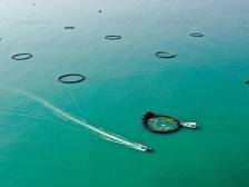 广东：2025年加快建设海洋强省