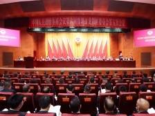 办理满意率100%！龙岗区政协2024年提案工作交出优秀答卷