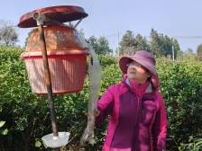 省人大代表贺爱兰：联动代表“盘活”产业链，托举乡亲“致富梦”