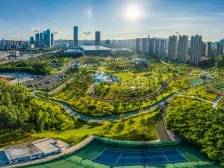 宜居龙华如何成为“此心安处”？｜龙华“新”年景④