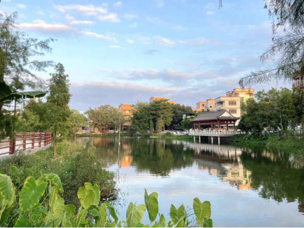 麻涌镇鸥涌村获得了“东莞市文明村”等称号，并积极申报水乡特色示范村。