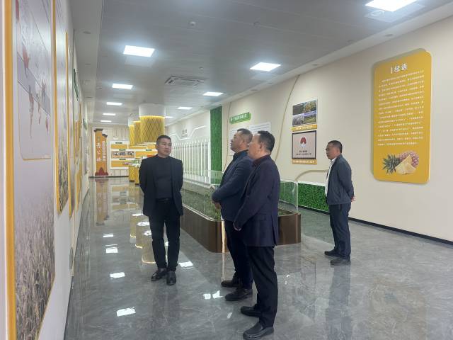 考察团现场调研