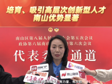 宋岩：培育、吸引高层次创新型人才南山优势显著｜南山代表通道