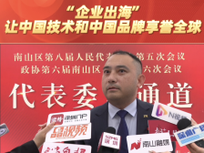郑重：“企业出海”让中国技术和中国品牌享誉全球｜南山代表通道