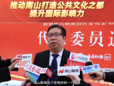 王小斌：推动南山打造公共文化之都，提升国际影响力｜南山代表通道