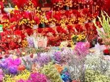 2025东莞松山湖迎春花市来啦！吃喝玩乐逛不停