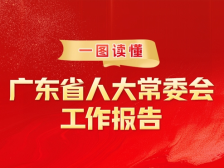 一图读懂 | 广东省人大常委会工作报告
