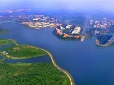 醒狮、音乐会、街舞派对，东莞松山湖中部片区邀您开心过大年