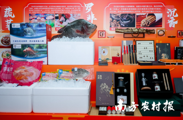 现场展示的茂名“五棵树一条鱼一桌菜”