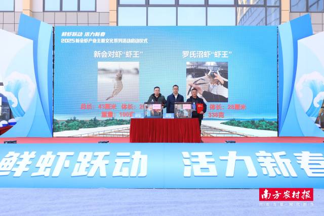 1月17日，2025新会虾产业主题文化系列活动启动仪式在大鳌镇举行，期间，首届新会对虾“虾王”、 罗氏沼虾“虾王”诞生。