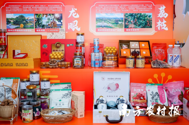 现场展示的茂名“五棵树一条鱼一桌菜”