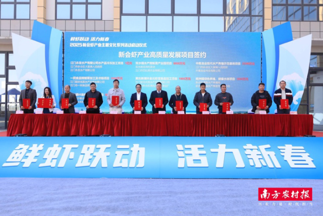 2025新会虾产业主题文化系列活动启动仪式现场，举行新会虾产业高质量发展项目签约仪式。