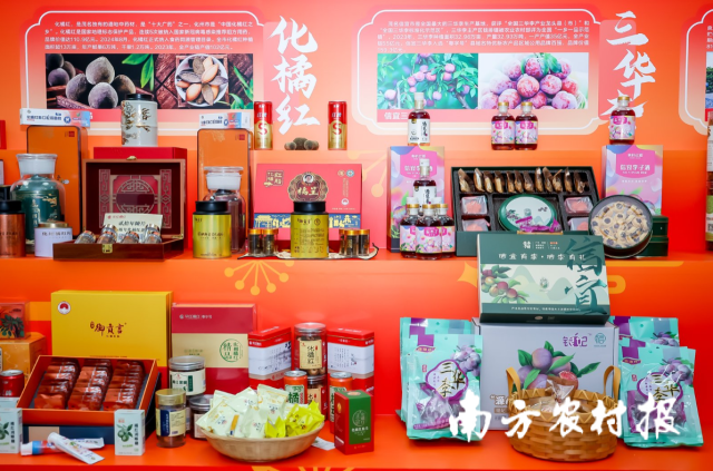 现场展示的茂名“五棵树一条鱼一桌菜”