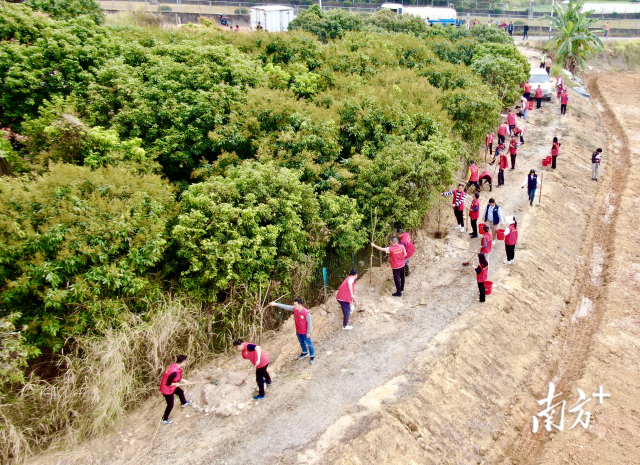 全民爱绿植绿护绿，广东大地山川更绿家园更美