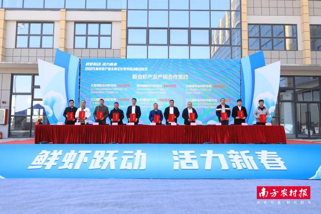 2025新会虾产业主题文化系列活动启动仪式现场，举行新会虾产业产销合作签约仪式。