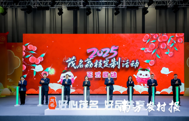 2025茂名荔枝定制活动正式启动
