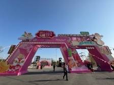 超3公里环湖花市怎么玩？请查收2025大良迎春花市出行指南