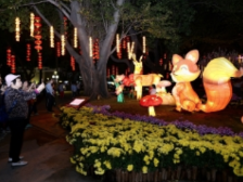 灯火阑珊处，广州新春灯会等你打卡