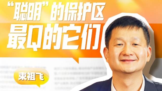 “聪明”的保护区，最Q的它们丨瑶瑶领先