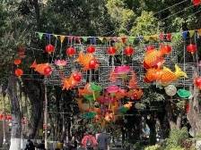 在江门新会，解锁新春“新玩法”