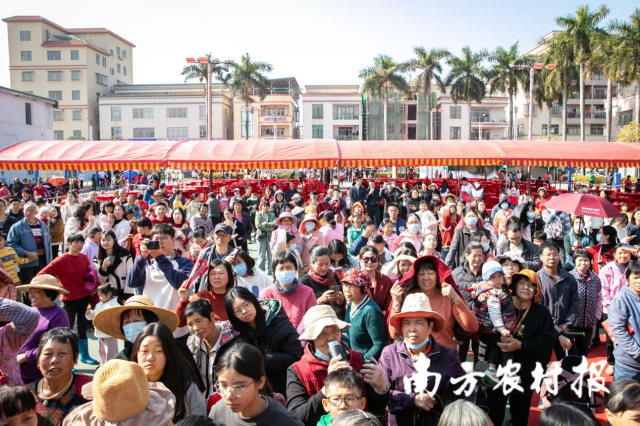 现场气氛热烈，众多村民、游客围观庆祝。