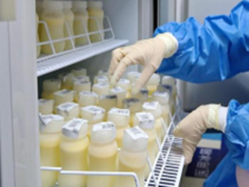 母乳库上线，“喂”爱续航不打烊