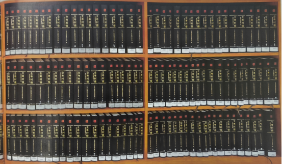 《全粤村情》部分成果