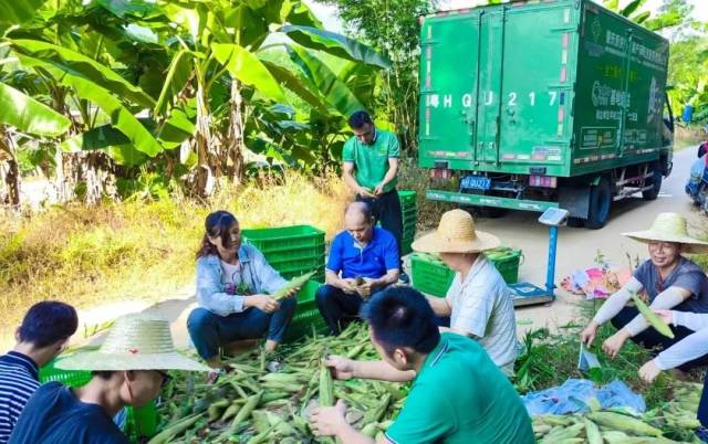 “肇庆供销助农兄弟”通过“农友圈”平台开展助农带农。