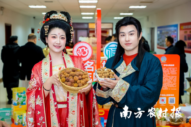 古裝演員手捧茂名荔枝龍眼干