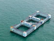 起鱼了！“海上粮仓”有了新的打开方式 | 广东上“新”过大年