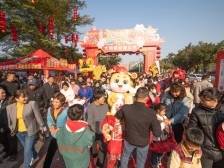 收藏！来南沙过大年，有这份攻略就够了