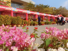 花“运”天河这样逛！迎春花市、花市嘉年华等你来