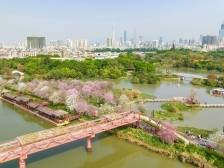 玩转春节，海珠安排！