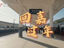 视频丨梅州年味“上镜”，每一帧都红红火火