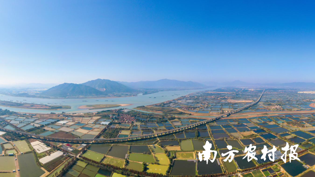 佛山三水优越的水土条件，孕育出苏丹鱼、笋壳鱼、鳜鱼、加州鲈、鲜鲩、锦鲤等众多水产瑰宝。