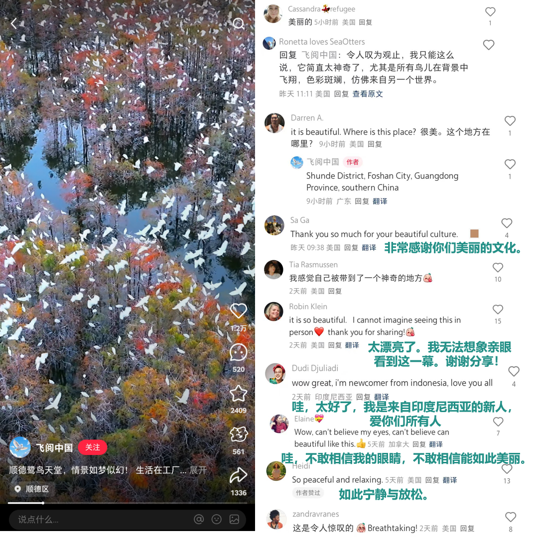 网友评论。图源:小红书截图 网友评论。图源:小红书截图