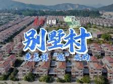 别墅村是怎样“炼”成的｜江门“乡”见①