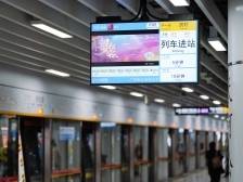 彩虹桥站标识变“彩虹”！地铁11号线乘车指引优化发现了吗？