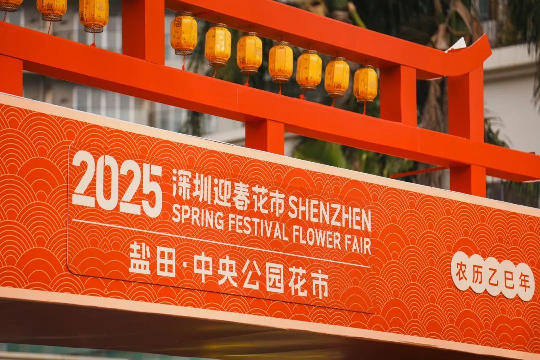 近期必打卡!深圳海边的花市→