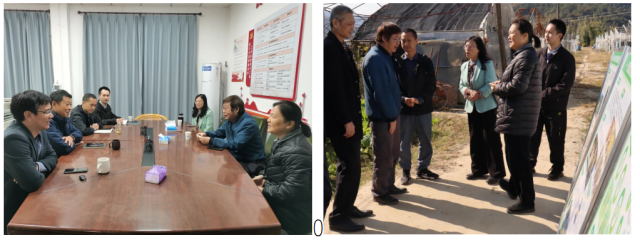 专家团队先后针对义合镇紫灵芝、红松茸开展全产业链调研。 专家团队先后针对义合镇紫灵芝、红松茸开展全产业链调研。