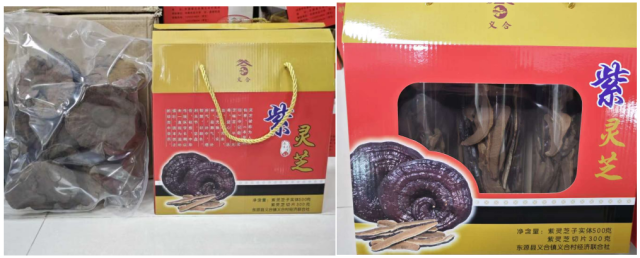 紫灵芝产品 紫灵芝产品