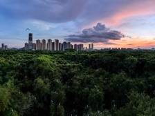 谋划推动“科创飞地”建设，试点运营无人驾驶｜顺德两会