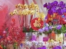 够钟行花街！东莞迎春花市交通攻略来啦→