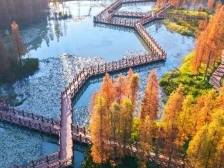 从化邀你过大年，各大景区精品活动一网打尽