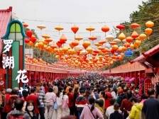 直击｜灵蛇献瑞春满城！2025罗湖爱国路迎春花市盛大开幕