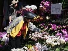 不让我来老城区，那今年就不逛花街了｜莞有料